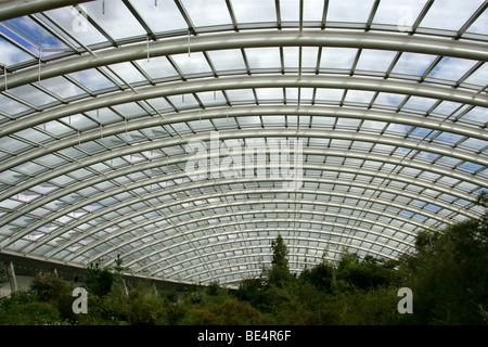 Das große Gewächshaus, National Botanic Garden of Wales, Llanarthne, Carmarthen, Carmarthenshire. Stockfoto