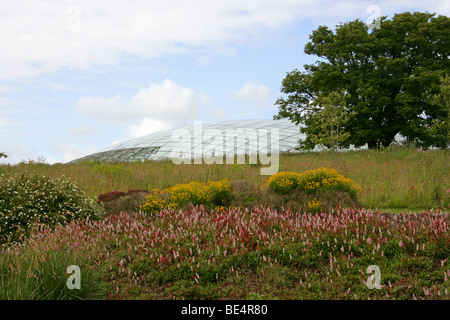 Das große Gewächshaus, National Botanic Garden of Wales, Llanarthne, Carmarthen, Carmarthenshire. Stockfoto