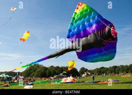 Riesige Drachen, Stingray, Manta, Person, internationale Drachenfestival, Bristol, UK Stockfoto