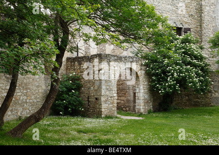 Burgruine, Hainburg an der Donau, Niederösterreich, Österreich Stockfoto