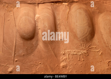 Mulden mit einem gravierten Reh, Petroglyphen auf rotem Sandstein, vor etwa 900 Jahren Anasazi-Indianer, Cold Springs Höhle n Schleifen Stockfoto