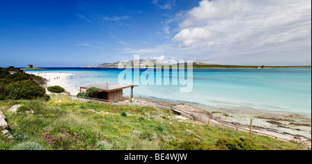 Stintino, Strand, Sardinien, Italien, Europa Stockfoto