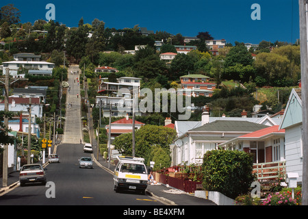 Neuseeland - Südinsel - Otago - Dunedin - Baldwin Street - die steilste Straße der Welt Stockfoto