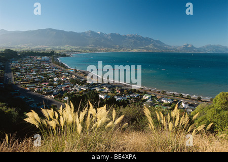 Neuseeland - Südinsel - Marlborough - Kaikoura - Seaward Kaikoura Range im Hintergrund Stockfoto