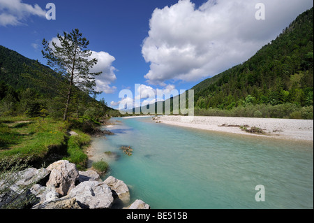 Oberes Isartal, obere Tal der Isar bei Wallgau, Landkreis Garmisch-Partenkirchen, Bayern, Deutschland, Europa Stockfoto