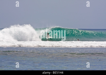Surfen-Indonesien. Surfer in einen Lauf in Bingin. Bali, Indonesien Stockfoto