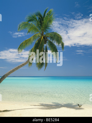 Republik der Malediven, Vaavu Atoll, tropische Idylle auf Fulidho Insel Stockfoto