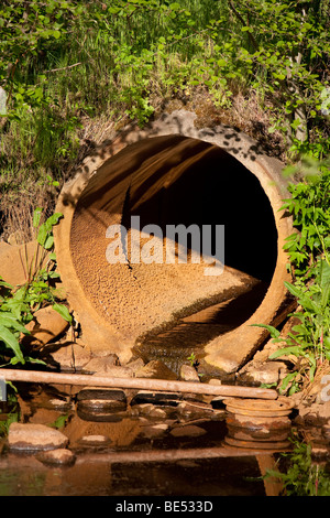 Mündung des ein altes Abflussrohr Stockfoto