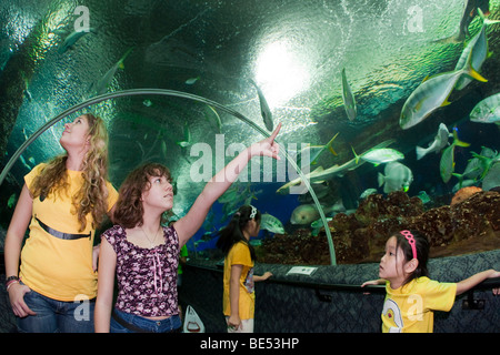 Junge Leute beobachten Fische in einem Aquarium, Sentosa Amusement Park, Singapur, Südostasien Stockfoto