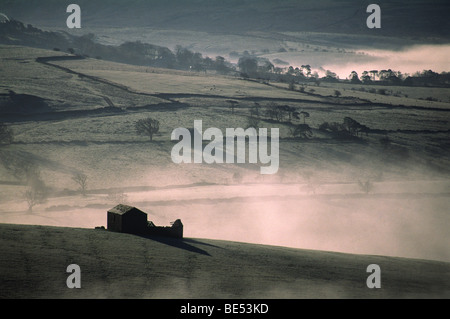 Cumbrian Hügel am frühen Morgen mit Nebel rollt die Hügel Stockfoto