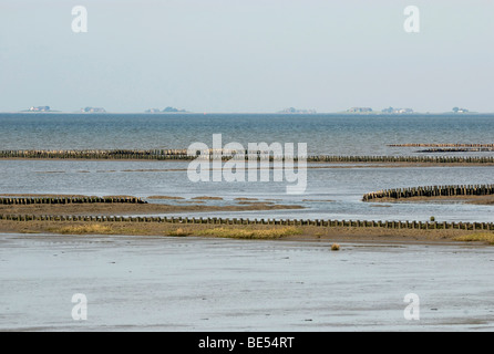 Blick über das Wattenmeer mit ansteigendem Wasser auf die Hallig Langeness, Schleswig-Holstein Wattenmeer, Nordfriesland, Schleswig-H Stockfoto