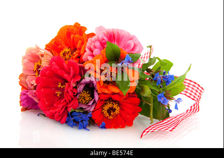 bunter Strauß von Blumen als Geschenk Stockfoto