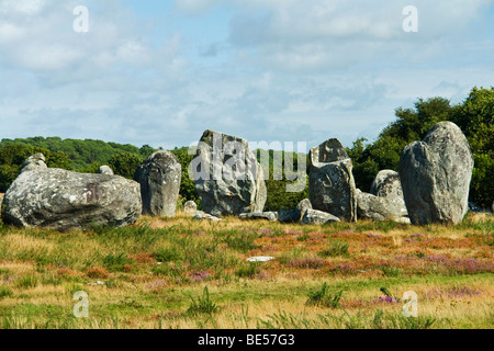 Menhir Ausrichtung carnac Stockfoto