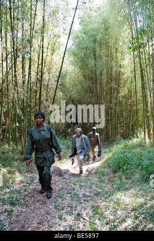 Uganda Wildlife Authority Ranger begleitet ein Tourist auf einer Wanderung im Mgahinga-Gorilla-Nationalpark in Süd-Uganda. Stockfoto