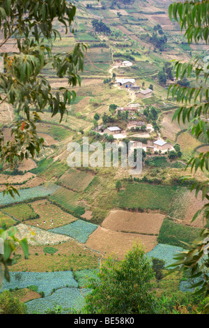 Landschaft entlang der Straße zwischen Kisoro und Muko in Süd-Uganda. Stockfoto