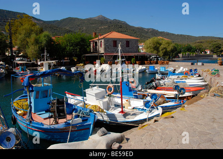 Kleine Fischerboote in den kleinen Hafen Skala Sikaminia, Insel Lesbos, Ägäis, Griechenland, Europa Stockfoto