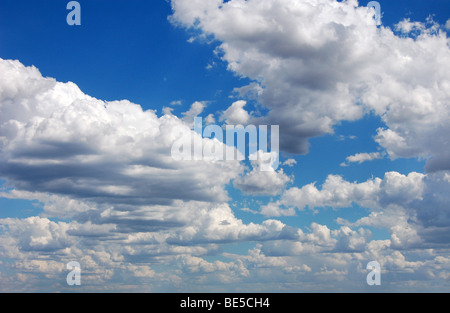 Blauer Himmel mit flauschigen Wolken im Sonnenschein am Tag, Panorama-Bild Stockfoto