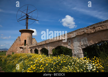 Windmühle Sant Jordi-Mallorca-Spanien Stockfoto