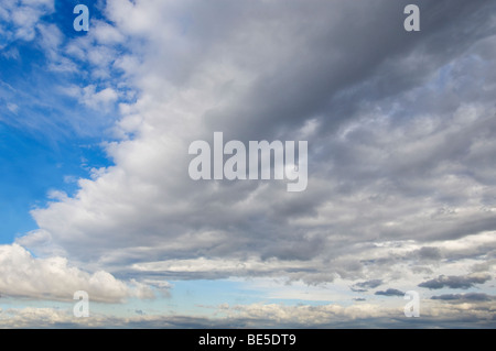 blauer Himmel mit großen weiß/grauen Wolken vorne Stockfoto