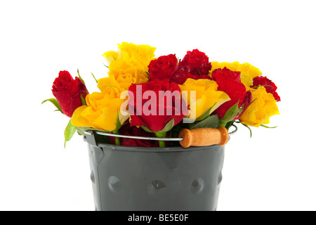 Eimer mit gelben und roten Rosen grau Stockfoto