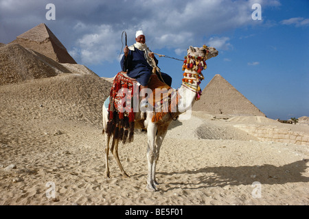 Kamel und ägyptischen führen bei den Pyramiden, Gizeh, Ägypten, Nordafrika Stockfoto