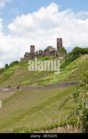 Blick auf die Burg Thurant Burg in der Nähe der Mosel Stadt Alken, Alken, Rhein-Hunsrueck-Kreis, Rheinland-Pfalz, Keim Stockfoto