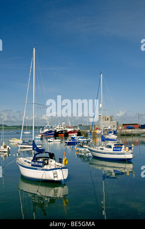 Yachten im Hafen von Dorf Schären, North County Dublin, Irland Stockfoto