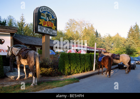 Maple Ridge, BC, Fraser Valley, British Columbia, Kanada - satteln Pferde gefesselt und warten im Pub Besitzer nach Hause tragen Stockfoto