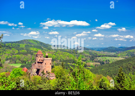 Burg Berwartstein Burg, Erlenbach, Naturpark Pfaelzerwald Naturschutzgebiet, Pfalz, Rheinland-Pfalz, Deutschland, Europa Stockfoto