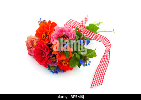bunter Strauß von Blumen als Geschenk Stockfoto