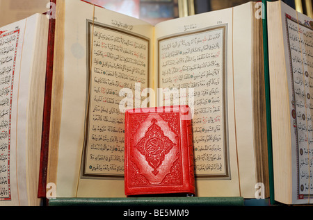 Kleine rote Büchlein, gedrückt, vor geöffneten Koran, arabische Schrift, Bücherbasar, Beyazit, Istanbul, Türkei Stockfoto