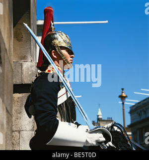 Pferd Wachhabende in Whitehall London England GB Stockfoto