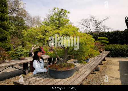 Japanische Mädchen bestaunen Bonsai-Baum im Botanischen Garten in Kyoto, Japan, Asien Stockfoto