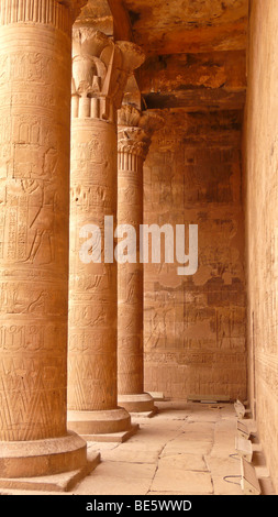 Säulen im großen Hof mit Hieroglyphen, Horus Tempel, Edfu, Luxor, Nil Senke, Ägypten, Afrika Stockfoto