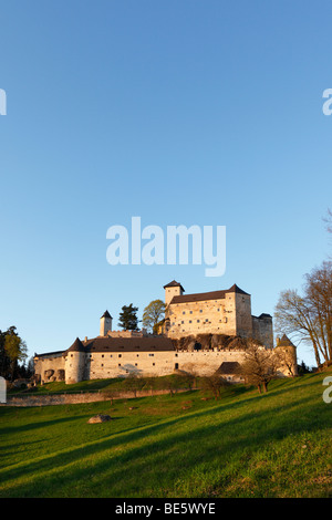 Schloss Burg Rappottenstein, Waldviertel, Niederösterreich, Österreich, Europa Stockfoto