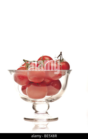 Bio-Tomaten auf dem Rebstock in eine Glasschüssel gegen ein weißes Studio-Ausschnitt-Hintergrund Stockfoto