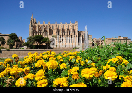 Kathedrale La Seu, Palma de Mallorca, Mallorca, Balearen, Spanien, Europa Stockfoto