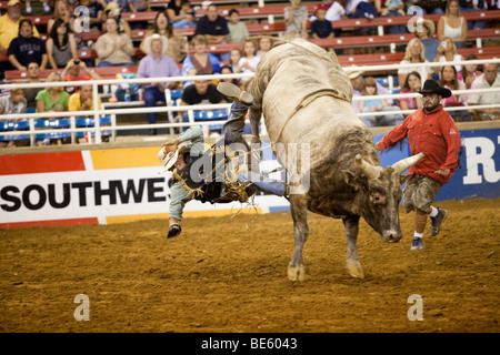 Rodeo Cowboy Bullenreiten beim Mesquite Championship Rodeo, Mesquite, Texas, USA Stockfoto