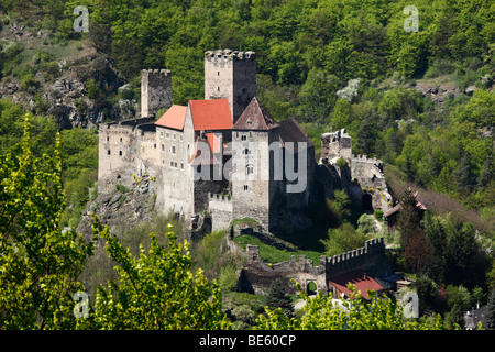 Schloss Burg Hardegg, Nationalpark Thayatal, Waldviertel, Niederösterreich, Österreich Stockfoto