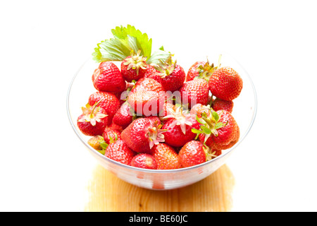 Frisch gepflückten Erdbeeren Stockfoto