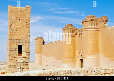 Östliche Wüste Burg der Umayyaden Qasr al-Hair Ash-Sharqi, Syrien, Asien Stockfoto