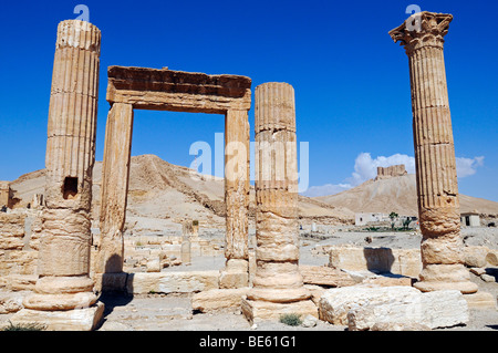 Ruinen von Palmyra Ausgrabung Website, Tadmur, Syrien, Asien Stockfoto