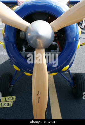 Flugzeug-Propeller hergestellt aus Schichtholz auf Kleinflugzeug, Freeman Flugplatz, Virginia Stockfoto