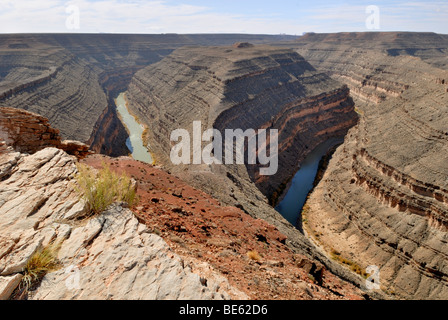 Mäander des Flusses San Juan, Canyon-artigen geschnitzt in den Gesteinsschichten, Goosenecks State Park, Utah, USA Stockfoto