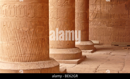 Säulen im großen Hof mit Hieroglyphen, Horus Tempel, Edfu, Luxor, Nil Senke, Ägypten, Afrika Stockfoto