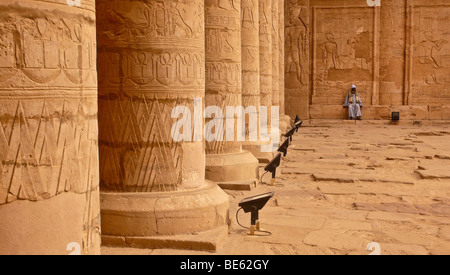 Säulen mit Tempel bewachen sitzen im großen Hof, Hieroglyphen, Horus Tempel, Edfu, Luxor, Nil Senke, Ägypten, Afrika Stockfoto