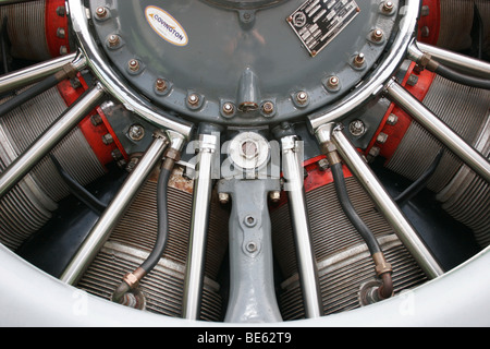 Nahaufnahme des Flugzeug-Sternmotor (Kolbenmotor) Stockfoto