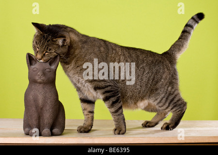 Kater schnüffeln an Keramik Katze Stockfoto