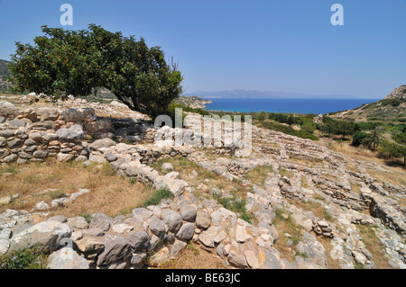 Alte Ruinen von Gournia, historische minoische Siedlung als eine archäologische Stätte, Ostkreta, Kreta, Griechenland, Europa Stockfoto