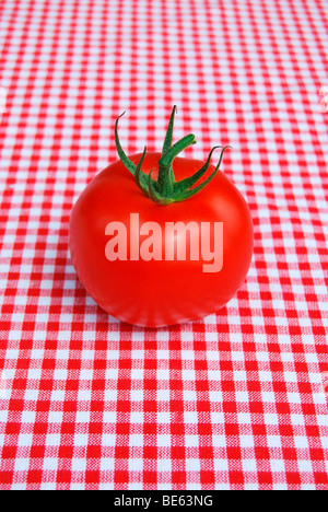 Weinstocks Tomate auf rote und weiße aufgegebenes Tischdecke Stockfoto